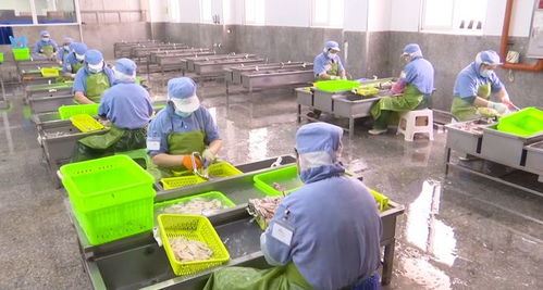 加入省級產業聯合研究院,讓 潮 味 濠 味飄向遠方