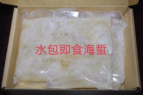 品鮮營口 海中軟黃金,閃耀全世界 營口海蜇