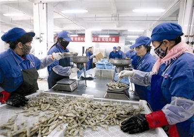 新區水產企業備戰春節市場 開足馬力加工海鮮-新聞中心-北方網