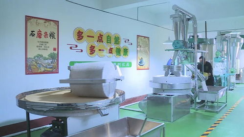 山西孝義 綠色食品走向市場 碾頭雜糧加工 微 項目投用
