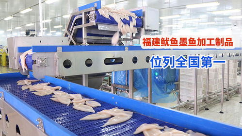 2022年福建魷魚墨魚加工制品占全國72.7 ,位列全國第一