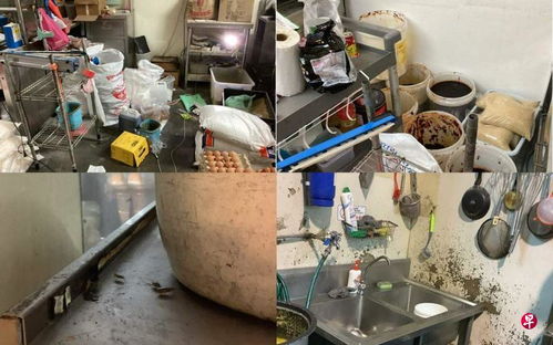 無照經營食品加工 配餐吃出胃腸炎 兩公司被罰款