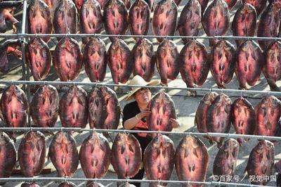 浙江杭州迎來晴好天氣,水產(chǎn)工人晾曬魚干忙!