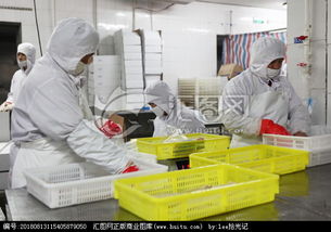 水產(chǎn)品加工流水線海鮮加工