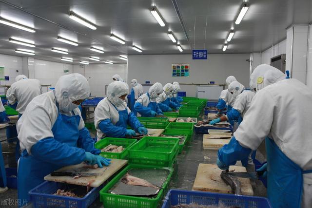 我國山東省是水產(chǎn)加工大省,有大量的水產(chǎn)加工和冷鏈運(yùn)輸企業(yè),涉及數(shù)萬
