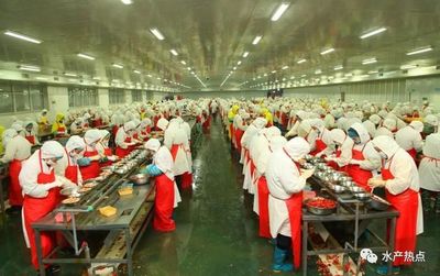 臭氣擾民,湖北一水產品加工企業被迫停產整改并罰款6萬元_萊克公司