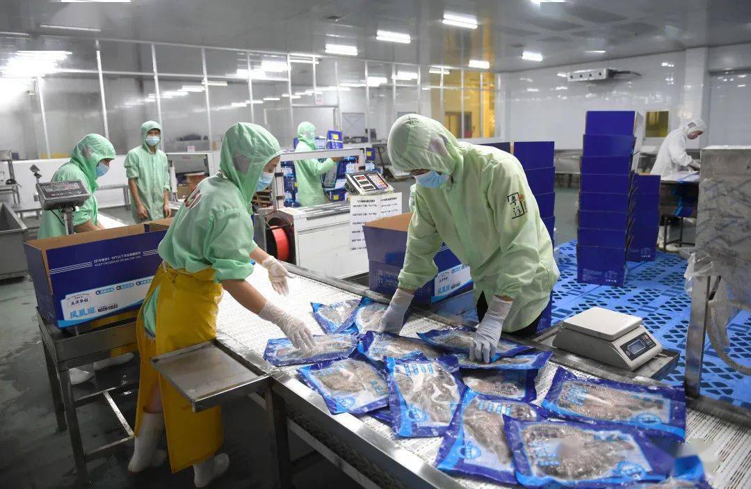 休閑海釣好去處!江城這個農業產業園解鎖新"玩法"→_養殖_發展_水產