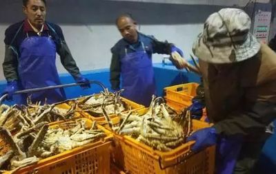 150萬只帝王蟹通過這里分流到中國市場,琿春市成為我國海鮮產品重要集散地