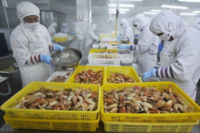 水產品加工廢水不達標!每天300噸,2種廢水處理工藝可以解決