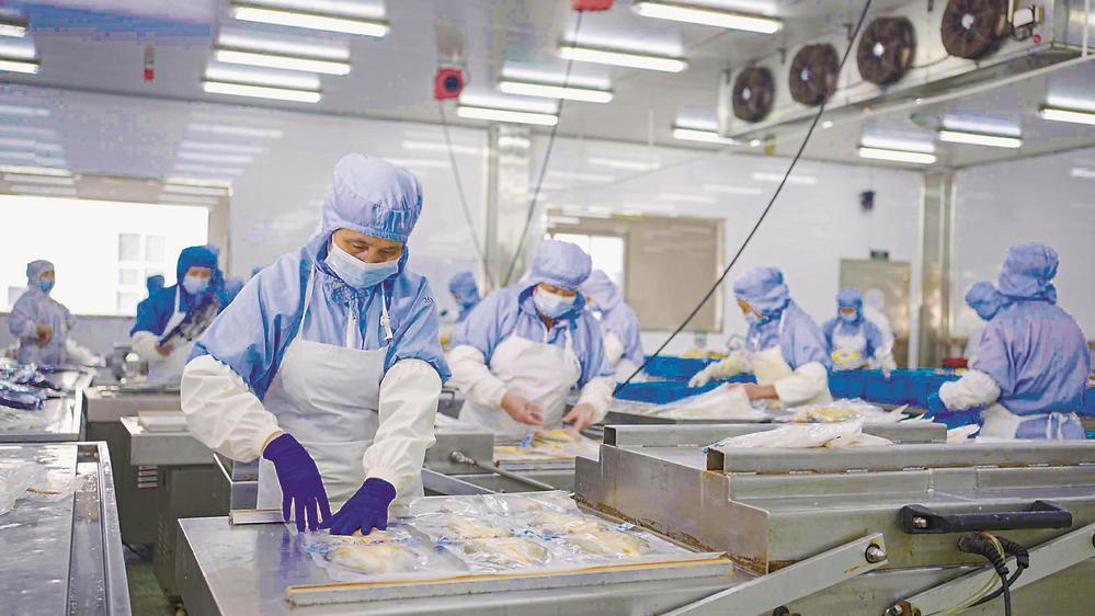 寧德大黃魚何以走俏全國?|寧德市_新浪財經_新浪網