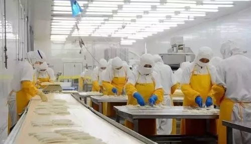 向藍的戰略 經略海洋,煙臺向著海洋經濟大市目標跨步邁進
