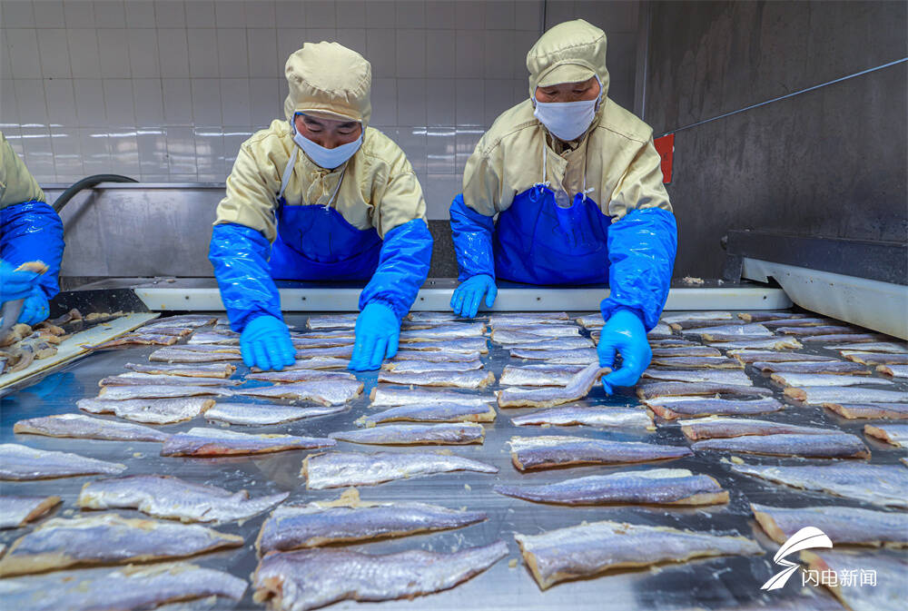 山東榮成水產品出口加工忙