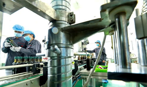 農產品精深加工 鏈 商機 張掖高臺食用保健油俏銷粵閩鳳凰網甘肅 鳳凰網