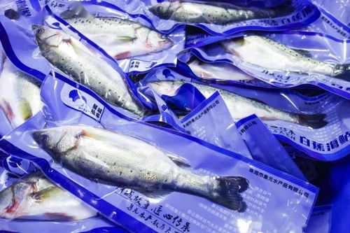 雙輪驅動 斗門一座新城正崛起