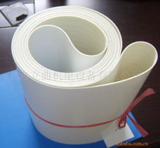 供應(yīng)專用設(shè)備水產(chǎn)品加工設(shè)備白色食品輸送帶
