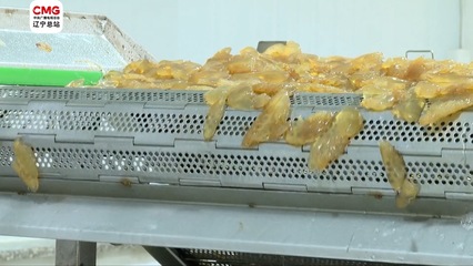 營口海蜇節(jié)入選全國100個豐收節(jié)慶特色活動