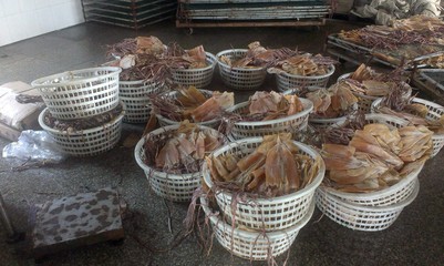 【干貨 l件起批 批發(fā)供應(yīng)高品質(zhì)的 舟山魷魚干 中條5-7】價格,廠家,圖片,干制水產(chǎn)品,舟山市普陀區(qū)展茅錦鴻水產(chǎn)加工廠-