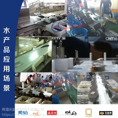 比人工快5倍 大閘蟹分選機_水產(chǎn)分揀 大航技術(shù) 龍頭品牌